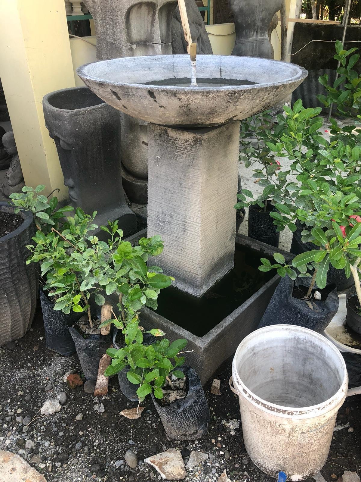 Pot Terarai Pedestal 4 Bola